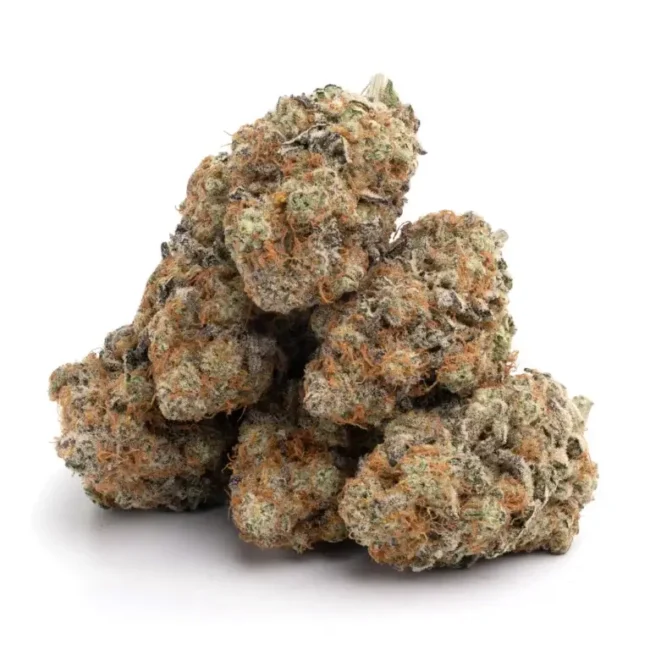 Strawberry Cough, La Florista Cannabis, Strawberry Cough strain, cannabis strains, Sativa-dominant hybrid, premium cannabis, Strawberry Cough effects, cannabis for creativity and focus, La Florista Cannabis dispensary, Strawberry Cough flavor profile, high-THC strain, sweet and fruity cannabis, Strawberry Cough characteristics, top-shelf cannabis, La Florista Cannabis products, cannabis strain for social use, Strawberry Cough aroma, best strains for daytime use, Strawberry Cough reviews, popular cannabis strains.