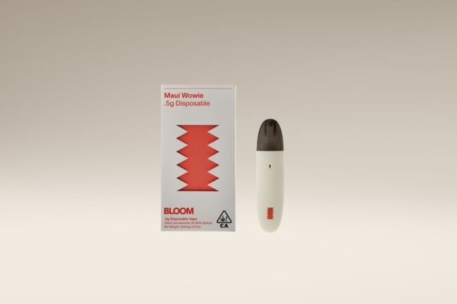 Bloom Classic Surf All-In-One 500mg | Maui Waui