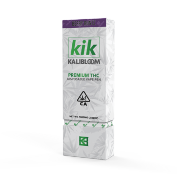 Kik 1G Disposable Vape: Berry Runtz