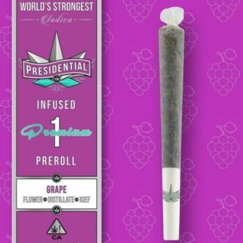 Presidential Moon Rock Preroll - Grape (1g)