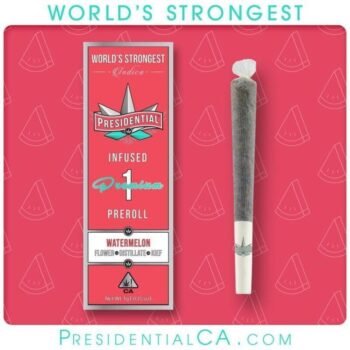 Presidential Moon Rock Preroll - Watermelon (1g)