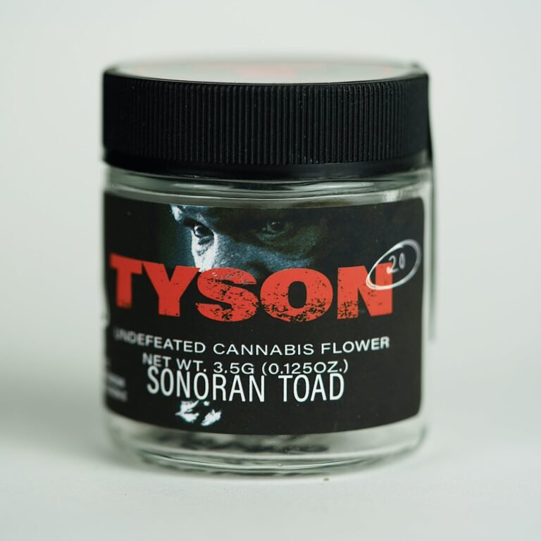 Sonoran Toad