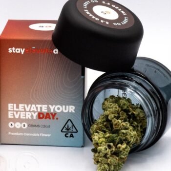 STAY ELEVATED San Fernando Valley OG