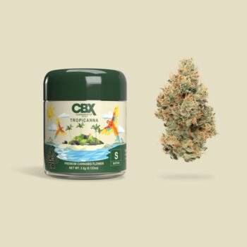 LA Florista Cannabis Weed, Tropicanna, Tropicanna Premium Cannabis Flower, premium cannabis flower, Tropicanna strain, top shelf weed USA, cannabis flower, California weed dispensary, buy Tropicanna weed, best hybrid strains 2025, weed delivery California, exotic hybrid strains, Tropicanna hybrid, marijuana flower, legal weed in California, dispensary near me, LA Florista Cannabis Dispensary, top hybrid weed strains, premium weed flower