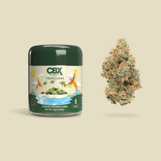 LA Florista Cannabis Weed, Tropicanna, Tropicanna Premium Cannabis Flower, premium cannabis flower, Tropicanna strain, top shelf weed USA, cannabis flower, California weed dispensary, buy Tropicanna weed, best hybrid strains 2025, weed delivery California, exotic hybrid strains, Tropicanna hybrid, marijuana flower, legal weed in California, dispensary near me, LA Florista Cannabis Dispensary, top hybrid weed strains, premium weed flower