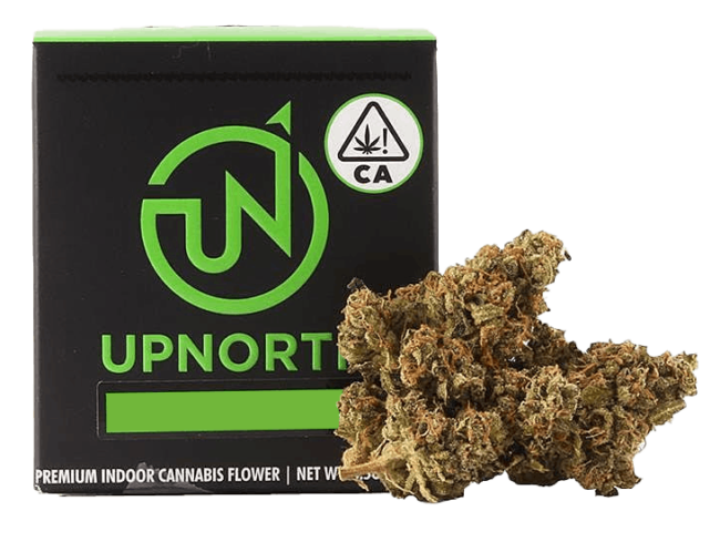 Upnorth 3.5g Jelly Runtz, Jelly Runtz cannabis, Upnorth flower, hybrid cannabis, 3.5g cannabis pack, THC 22.90%, Jelly Runtz strain, hybrid cross, relaxing effects, euphoric high, stress relief, anxiety relief, sweet berry aroma, fruity flavor, candy undertones, cannabis for relaxation, cannabis for stress relief, cannabis for anxiety, cannabis for mood elevation, cannabis for pain relief, legal cannabis California, buy weed online, LA Florista Cannabis, LA Florista Cannabis Weed, cannabis dispensary, top shelf weed, Upnorth brand, cannabis flower USA, small batch cannabis, premium cannabis, unique terpene profile, cannabis for connoisseurs, cannabis enthusiasts, premium buds, cannabis flower packaging, cannabis buds close-up, cannabis buds on white background, cannabis buds isolated, cannabis buds macro, cannabis buds texture, cannabis buds green, cannabis buds high quality, cannabis buds fresh, cannabis buds dried, cannabis buds premium, cannabis buds organic, cannabis buds farm-direct, cannabis buds California, cannabis buds USA, cannabis buds for sale, cannabis buds online, cannabis buds delivery, cannabis buds dispensary, cannabis buds shop, cannabis buds wholesale, cannabis buds retail, cannabis buds packaging, cannabis buds product, cannabis buds strain, cannabis buds hybrid, cannabis buds indica, cannabis buds sativa, cannabis buds Jelly Runtz, cannabis buds relaxing effects, cannabis buds euphoric high, cannabis buds mood elevation, cannabis buds boutique cannabis, cannabis buds legal cannabis, cannabis buds buy weed online, cannabis buds cannabis packaging, cannabis buds cannabis accessories, cannabis buds cannabis filters, cannabis buds cannabis rolling papers, cannabis buds cannabis shake pouch, cannabis buds cannabis flower.