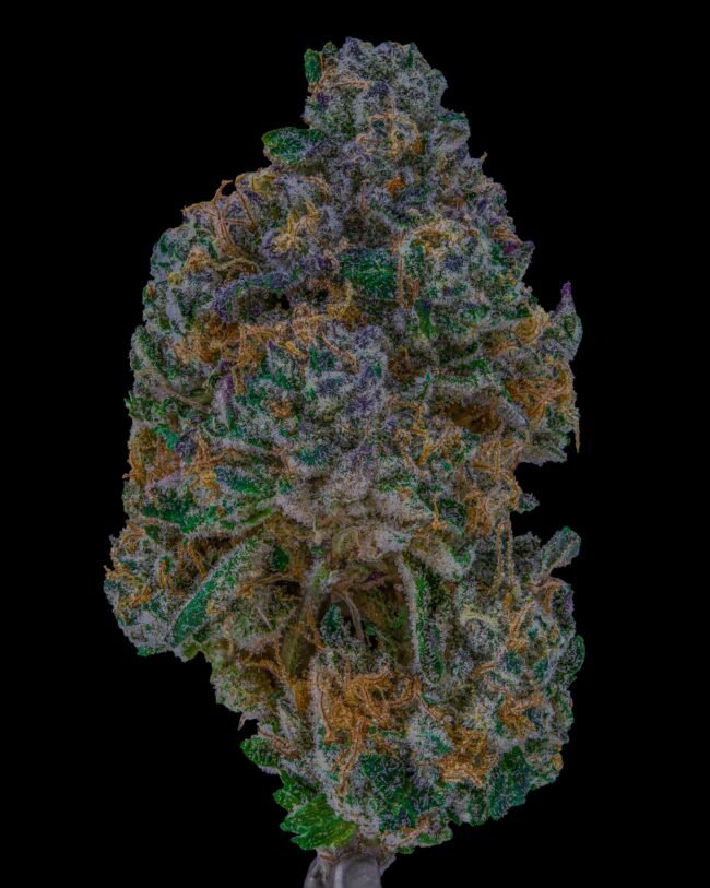 LA Florista Cannabis Weed, Wedding Gushers 3.5g, Wedding Gushers, Wedding Gushers strain, Wedding Gushers weed, Wedding Gushers cannabis, hybrid cannabis, indica-dominant hybrid, premium cannabis flower, top shelf weed, fruity cannabis strain, sweet and sour weed, relaxing high, euphoric cannabis, stress relief strain, calming weed, mood-boosting weed, California cannabis dispensary, California weed dispensary, legal California weed, marijuana flower, weed buds, LA Florista Cannabis Weed Wedding Gushers, buy weed online, dispensary 3.5g eighth, exotic weed strain